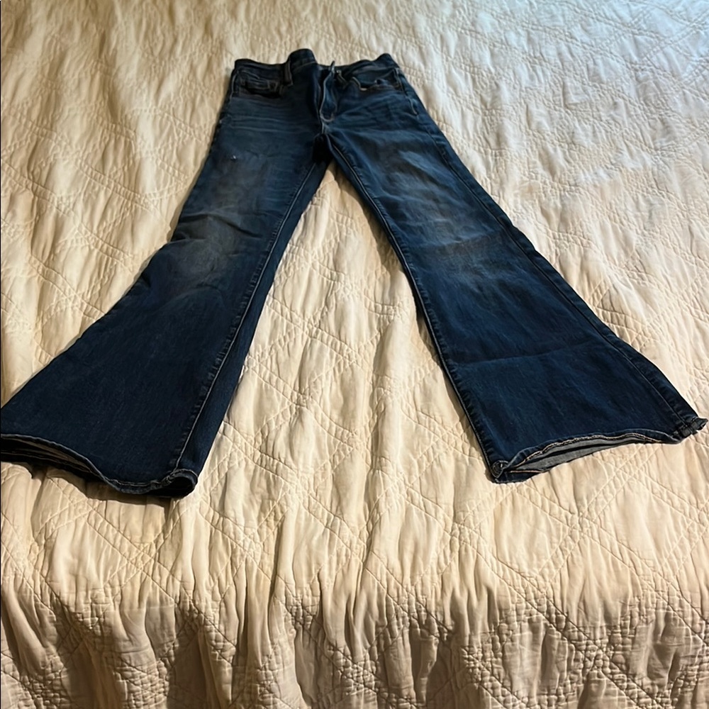American Eagle Outfitters Blue Flare Wide Leg Jeans